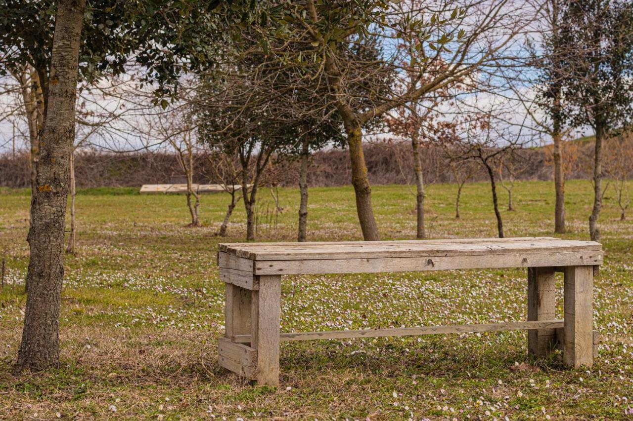 Il Fienile Di Margherita Vicchio Exterior foto