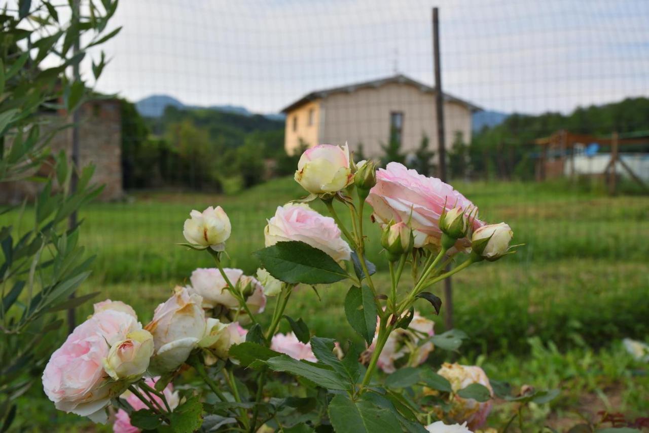 Il Fienile Di Margherita Vicchio Exterior foto