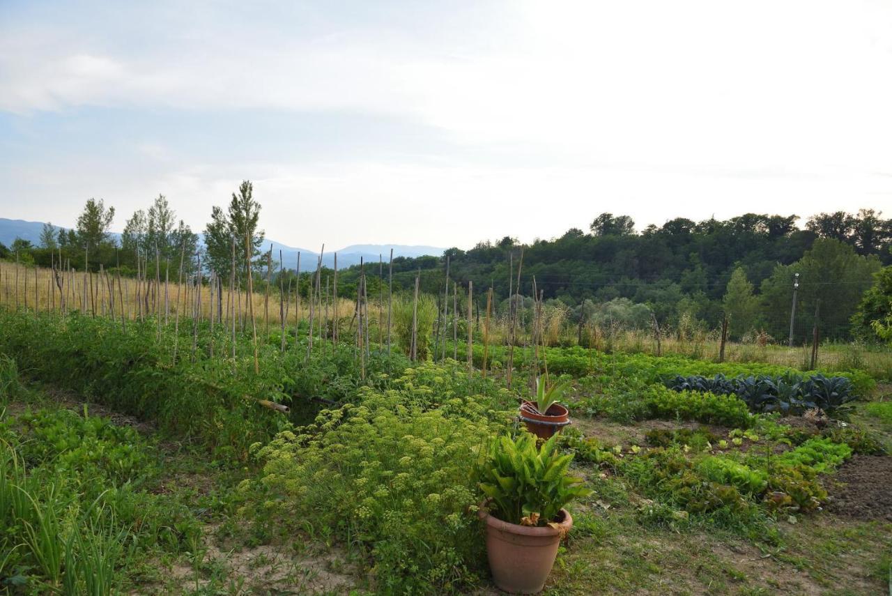 Il Fienile Di Margherita Vicchio Exterior foto