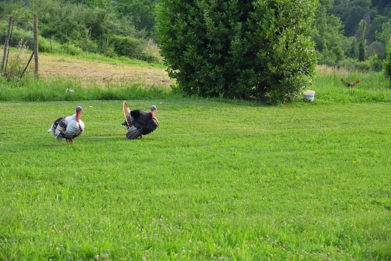 Il Fienile Di Margherita Vicchio Exterior foto